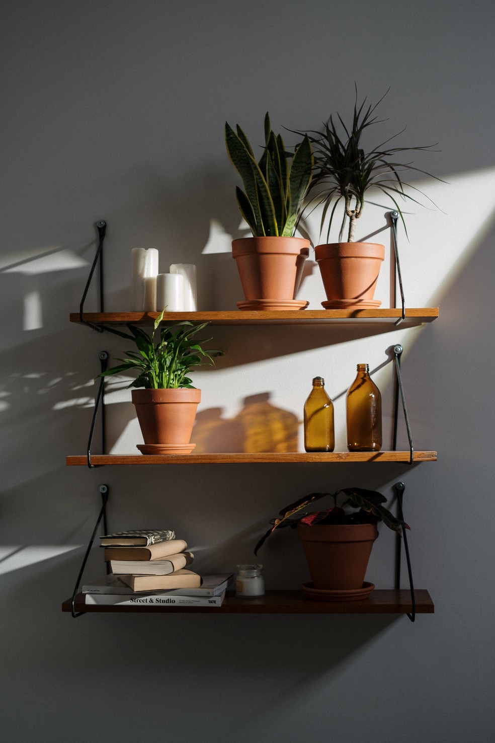 Vasos e plantas suspensas devem ficar dentro de casa, mas recebendo luz natural  — Foto: Cottonbro studio/Pexels