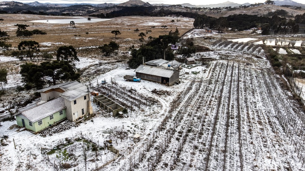 Em locais com geada, como Urupema (SC), vento e película de gelo podem prejudicar as plantas — Foto: Diorgenes Pandini/picture alliance via Getty Images