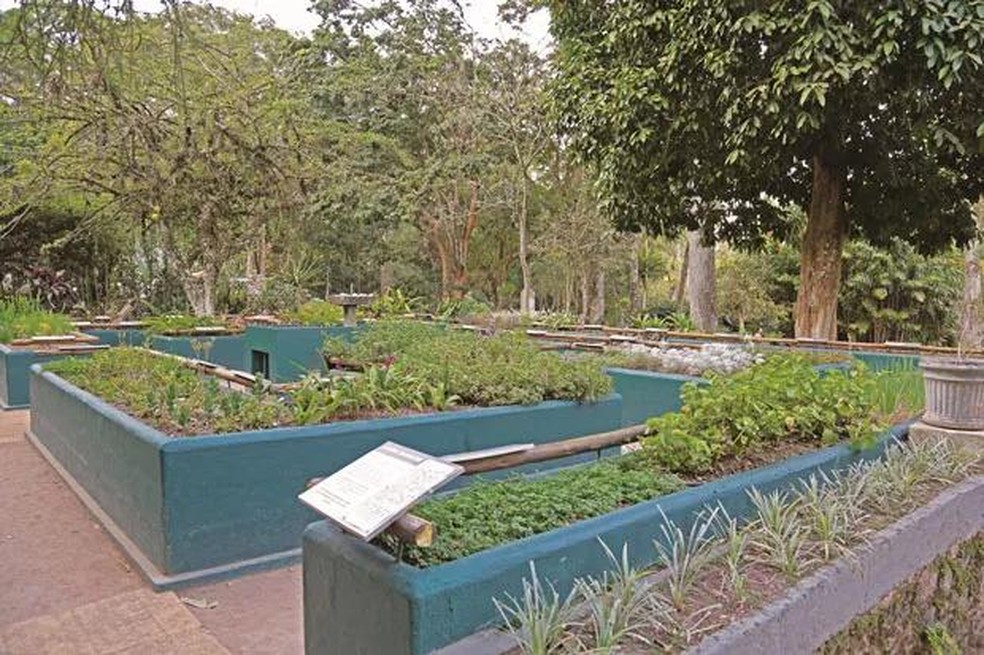 Jardim Sensorial no Jardim Botânico do Rio de Janeiro. Foto: Divulgação/Reprodução — Foto: Casa Vogue