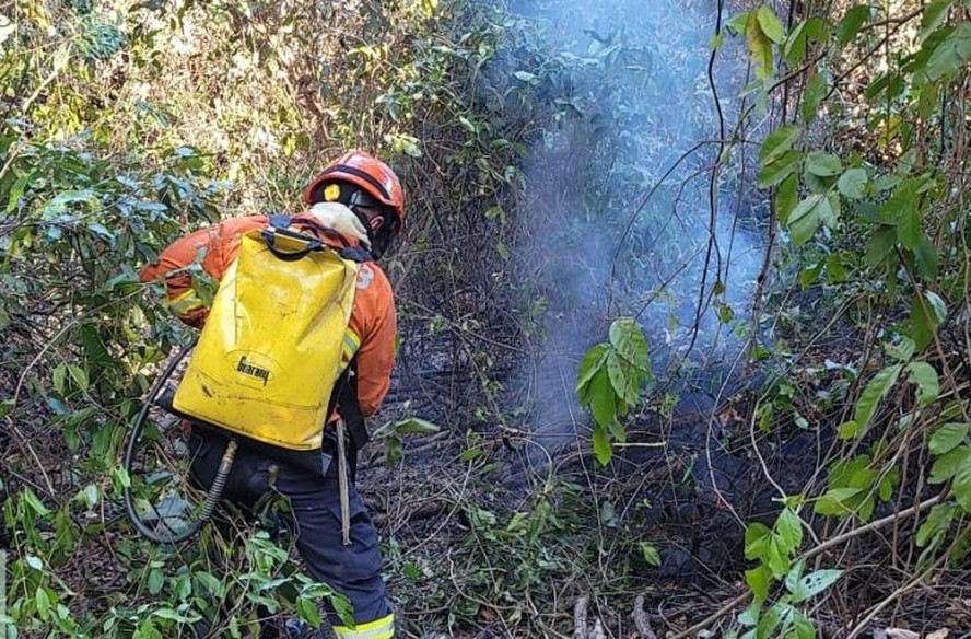 Defesa Civil combate incêndio no Pantanal.