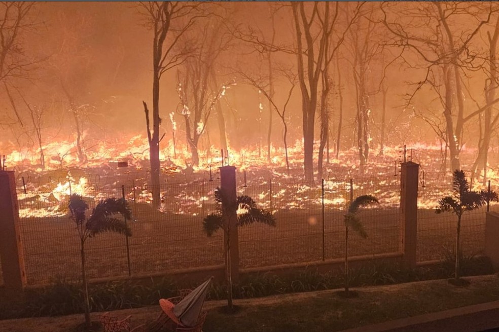 Incêndio em Ribeirão Preto — Foto: Reprodução