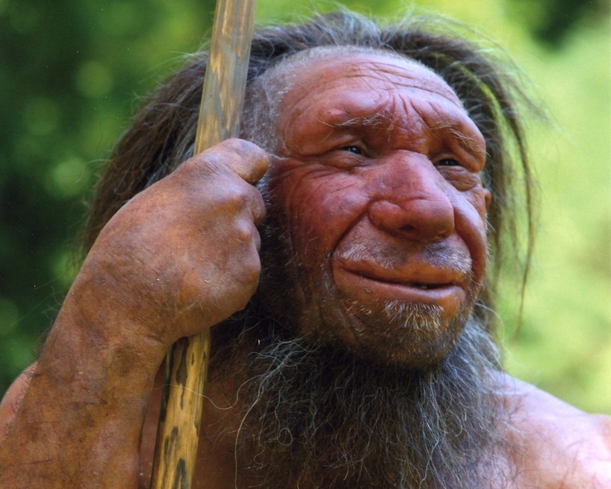 Vírus humano mais antigo foi encontrado em neandertal de 50 mil anos