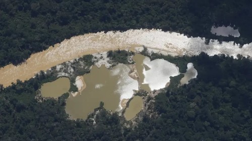 Garimpo ilegal provoca aumento nos casos de malária na Amazônia em quatro anos