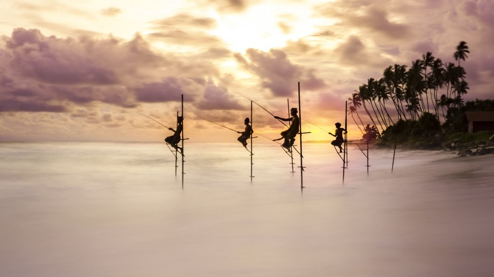 Foto premiada como ouro na categoria "pessoas e natureza"