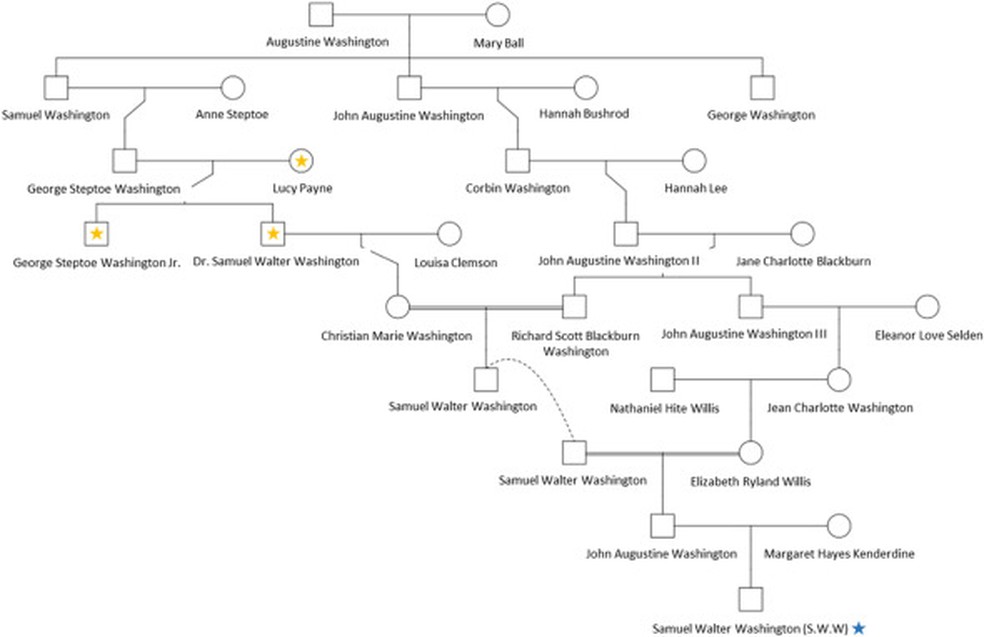 Árvore genealógica de Samuel Walter Washington (estrela azul) limitada aos ancestrais relevantes para os relacionamentos discutidos no estudo — Foto: Courtney Cavagnino