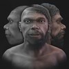 Rosto de Homo sapiens mais antigo já descoberto é recriado em 3D