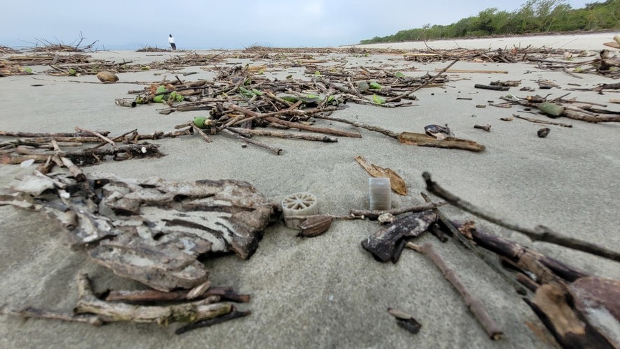 Poluição plástica: peças perfuradas que contaminam litoral têm 16 milímetros de diâmetro