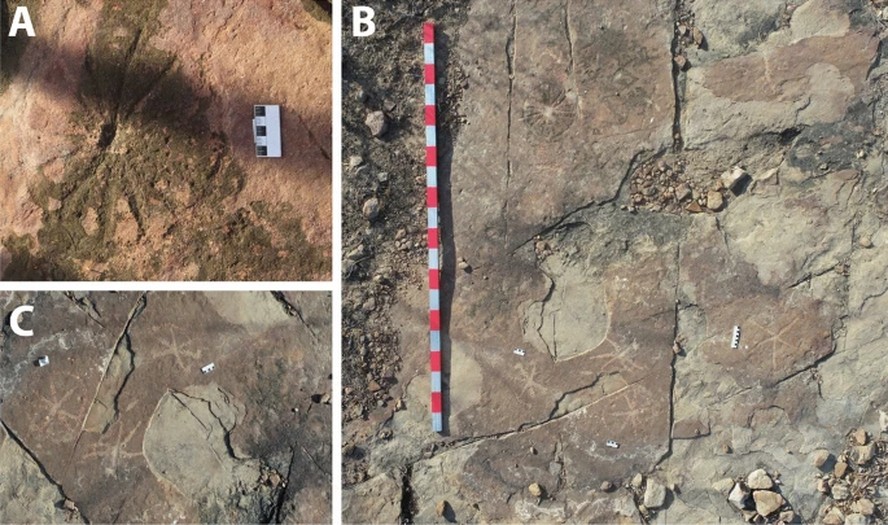 As gravações encontradas se assemelham as próprias pegadas de dinossauro, como uma tentativa de imitação