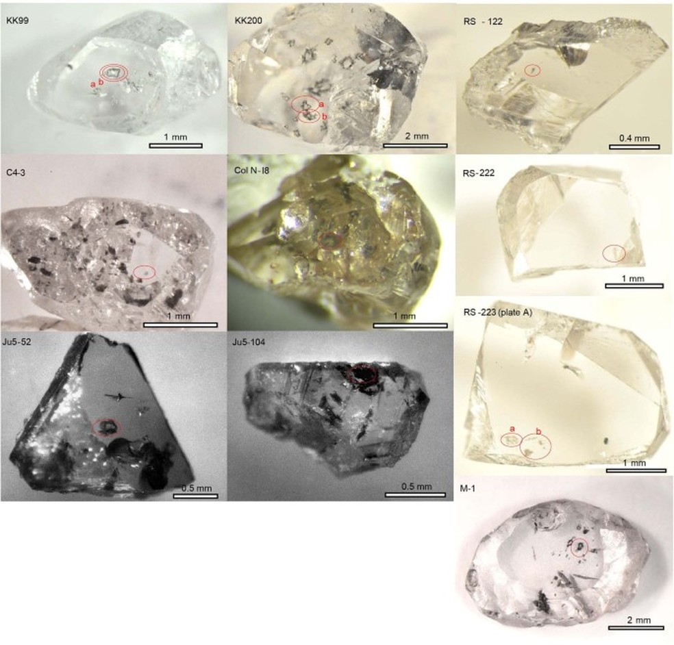 Visão geral dos diamantes estudados sob luz refletida — Foto: Timmerman et.al