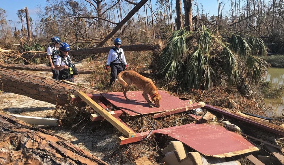 Hunter vasculha os destroços depois que o furacão Michael atingiu a Flórida em 2018 — Foto: Deana Hudgins