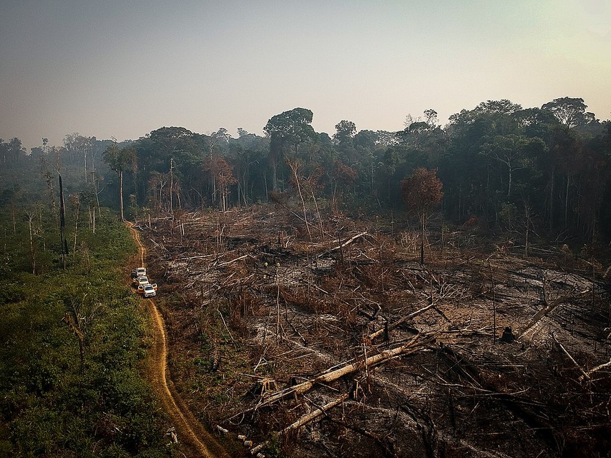 Área de floresta derrubada e queimada e vista na zona rural do município de Apuí (AM)
