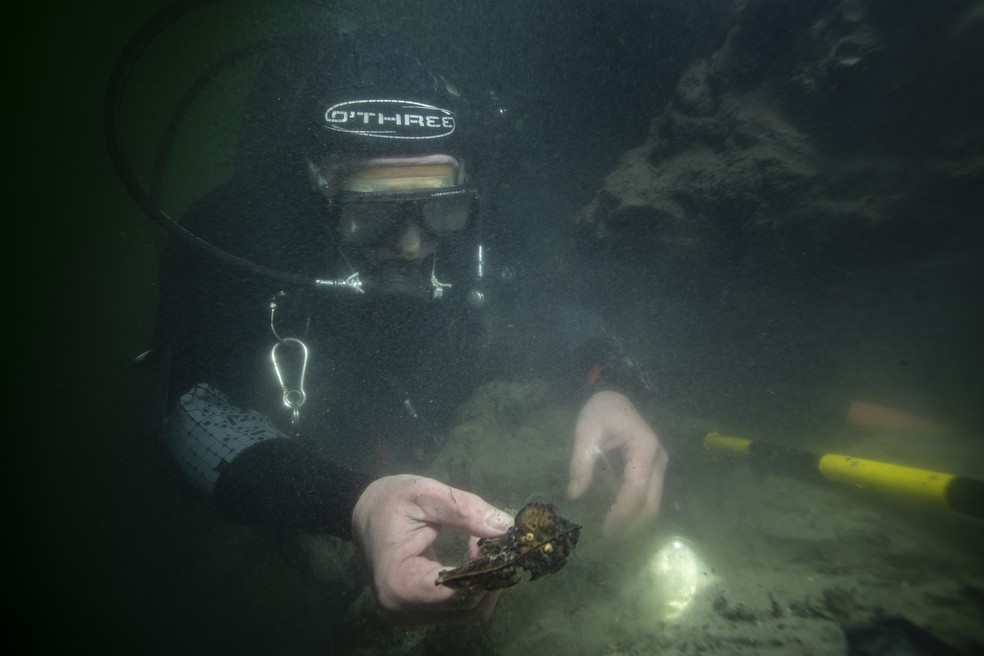 Imagem de investigação em Bouldnor Cliff — Foto: Universidade de Warwick