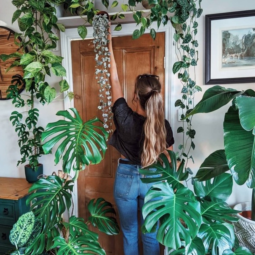 12 perfis no Instagram que toda mãe de planta precisa acompanhar (Foto: Instagram) — Foto: Glamour