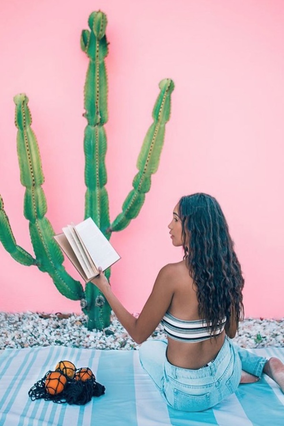 12 perfis no Instagram que toda mãe de planta precisa acompanhar (Foto: Instagram) — Foto: Glamour