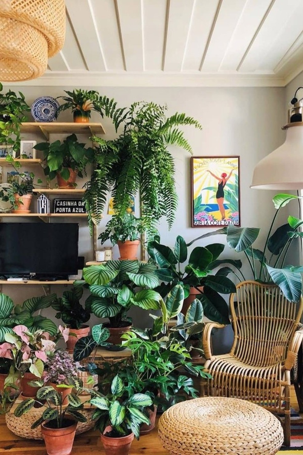 12 perfis no Instagram que toda mãe de planta precisa acompanhar (Foto: Instagram) — Foto: Glamour