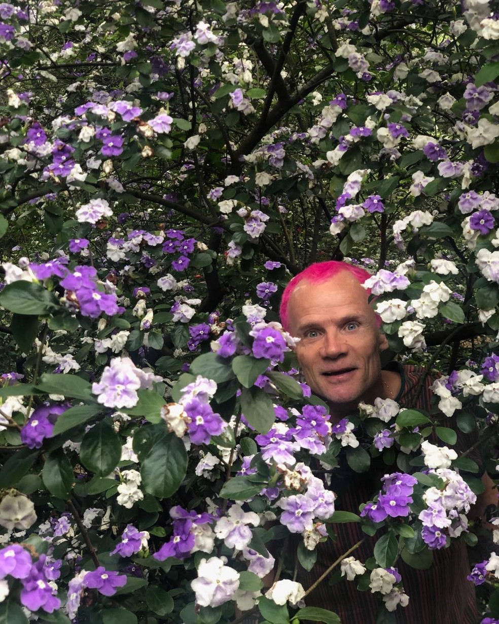 Flea com cabelo descolorido pink (2022) — Foto: Instagram-Reproduçãi