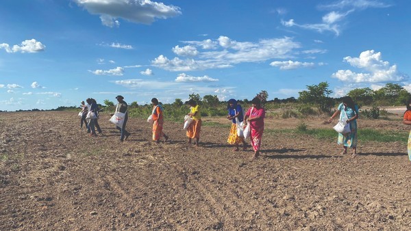 Semeando o amanhã: as mulheres índigenas Xavante que ajudam a reflorestar áreas do Cerrado