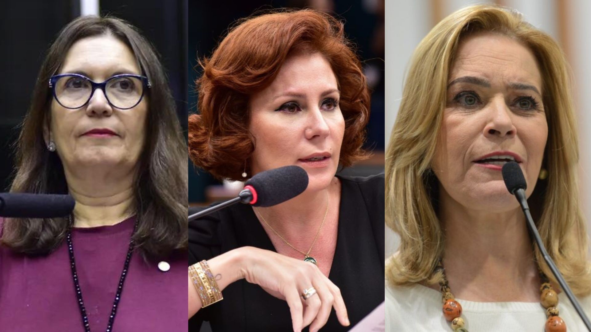 Quem são as deputadas mulheres que apoiam projeto de lei