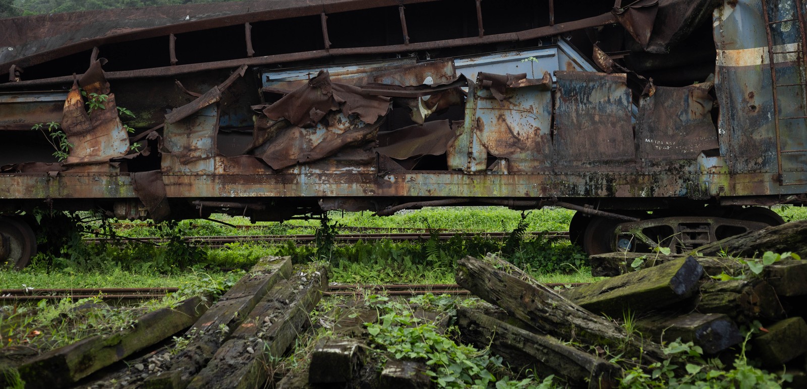 Moradores reclamam de mosquitos e cobras escondidos em trens abandonados — Foto: Maria Isabel Oliveira
