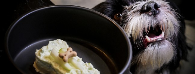 Cachorrinho Pepe come sobremesa em restaurante Fiuto — Foto: TIZIANA FABI / AFP