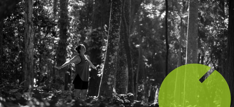 Banho de floresta: prática criada no Japão ganha adeptos no Brasil