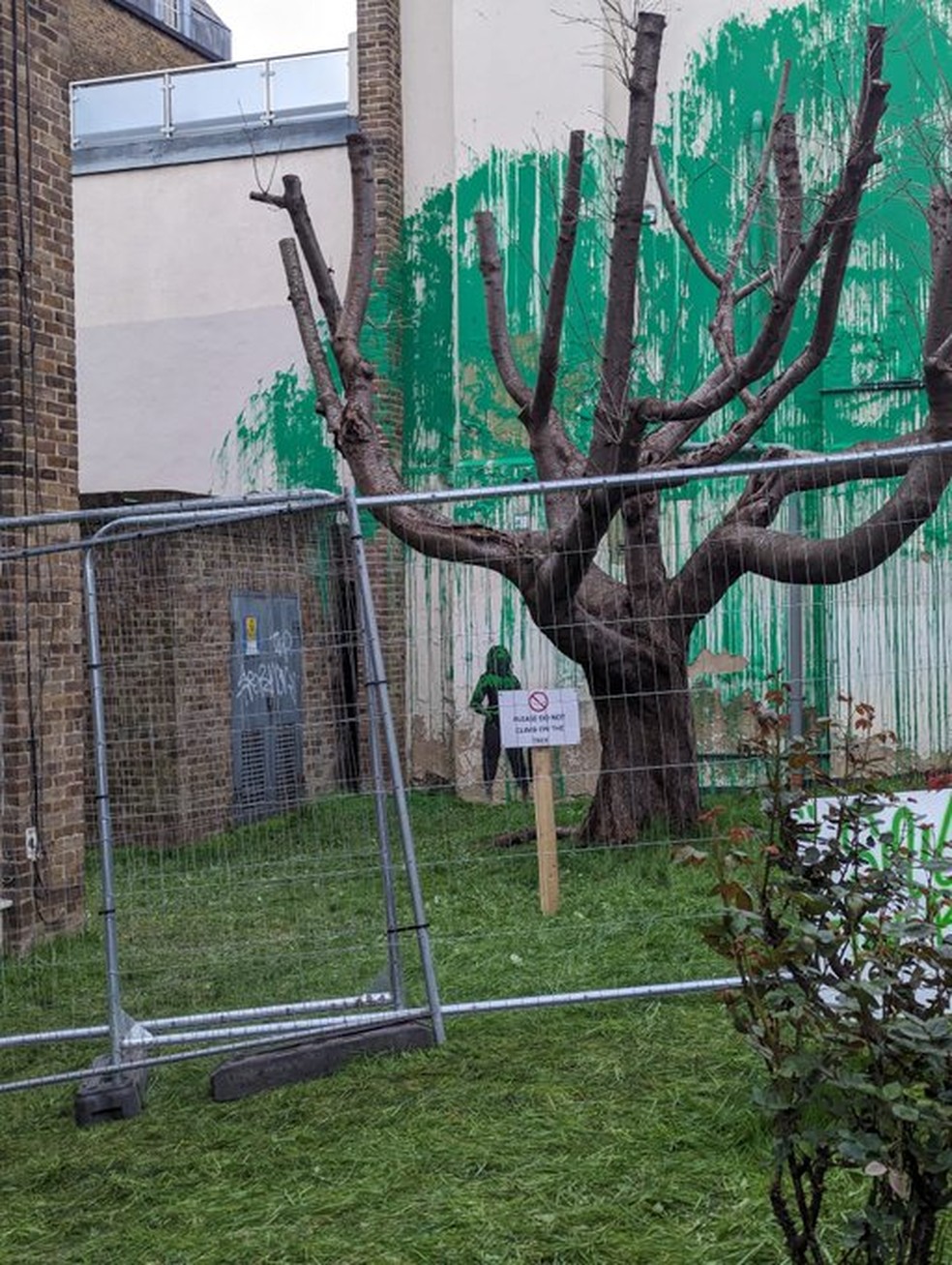 Banksy tem seu 'mural da árvore' vandalizado com tinta branca em Londres — Foto: Reprodução