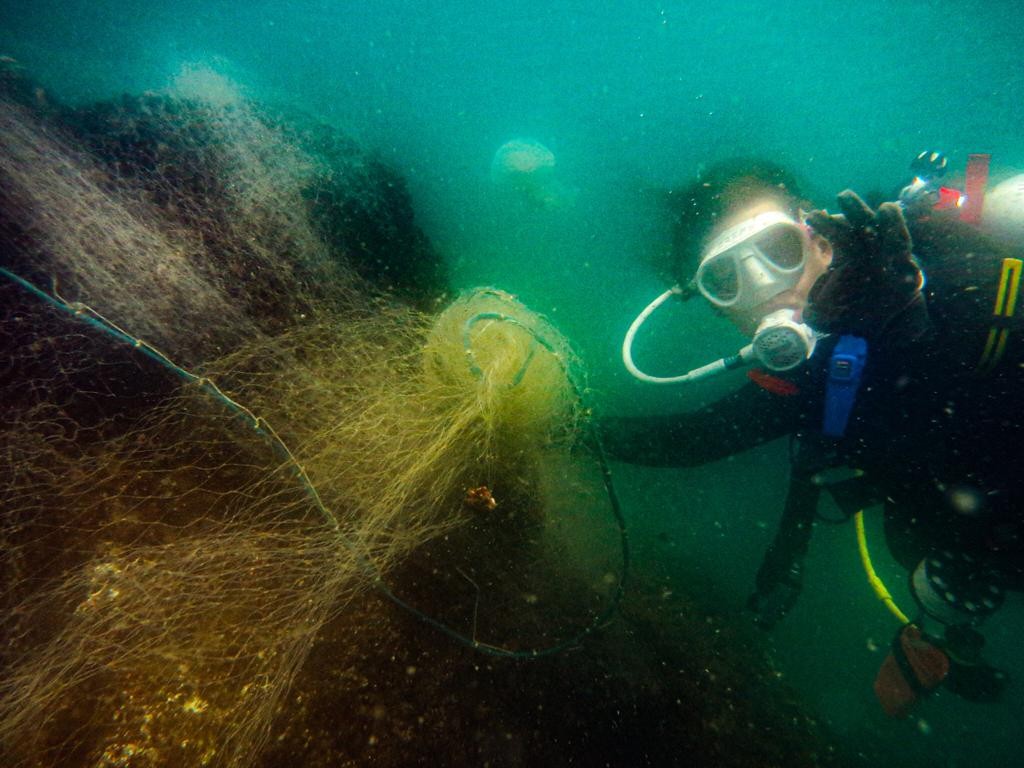 Voluntária da ong global Sea Shepherd encontra rede fantasma. O utensílio de pesca abandonado é um risco para os animais marinhos, que morrem ao ficarem presos. — Foto: Sea Shepherd / Divulgação