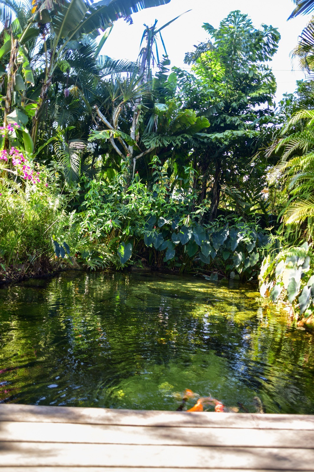 Casa do Lago — Foto: Elaine Neves/ O Globo