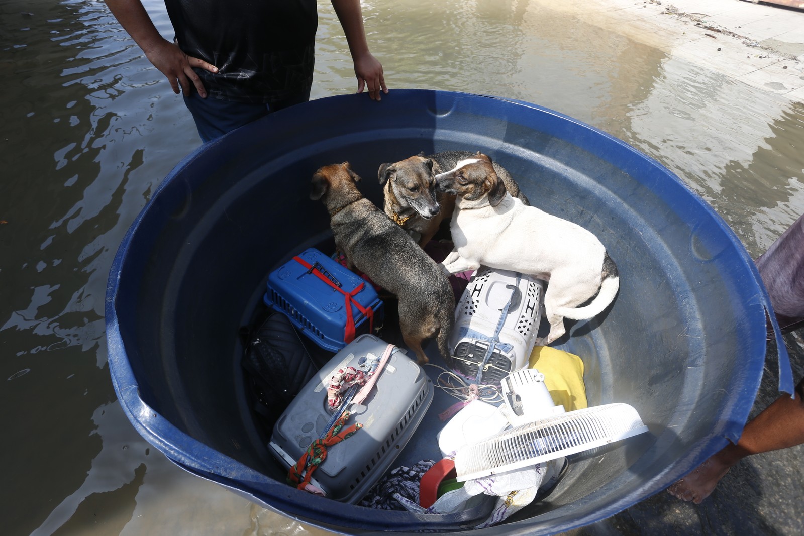 Segundo a prefeitura, ao menos outros nove bairros foram muito afetados pelas chuvas — Foto: FABIANO ROCHA