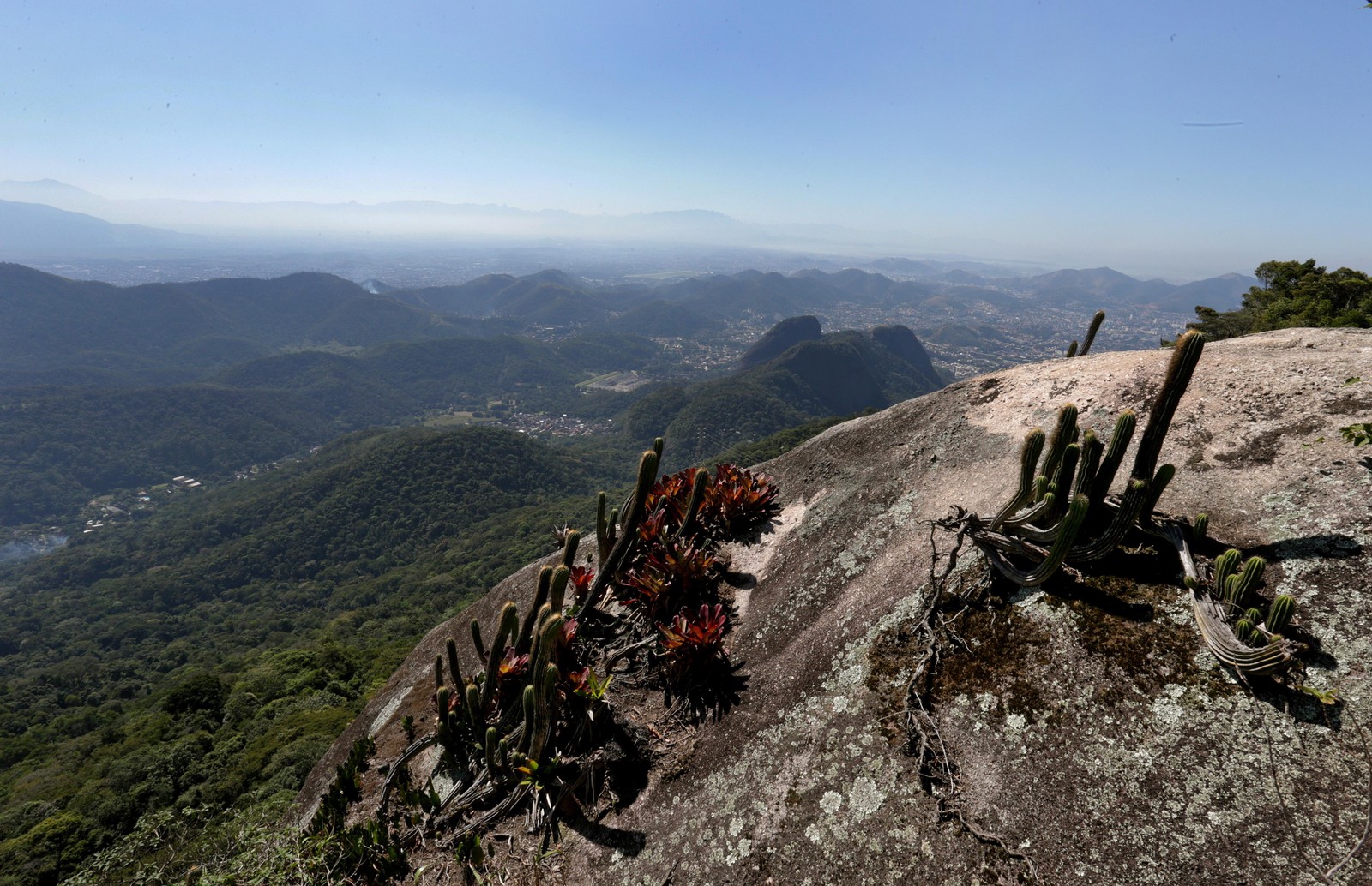 Parque Estadual da Pedra Branca. Darcy Ribeiro foi responsável pela revitalização da floresta, numa área de 12.000 hectares.   — Foto: Márcio Alves