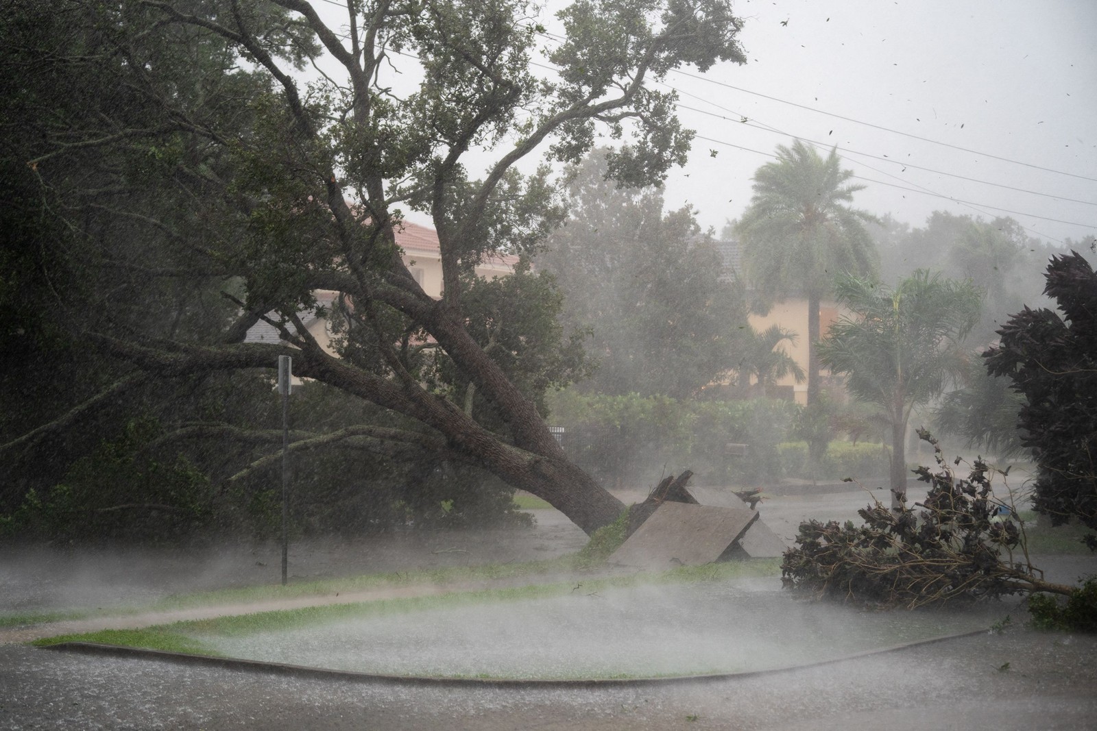 Uma árvore é arrancada durante a passagem do furacão Ian em Sarasota, Flórida — Foto: Sean Rayford / GETTY IMAGES NORTH AMERICA / Getty Images via AFP