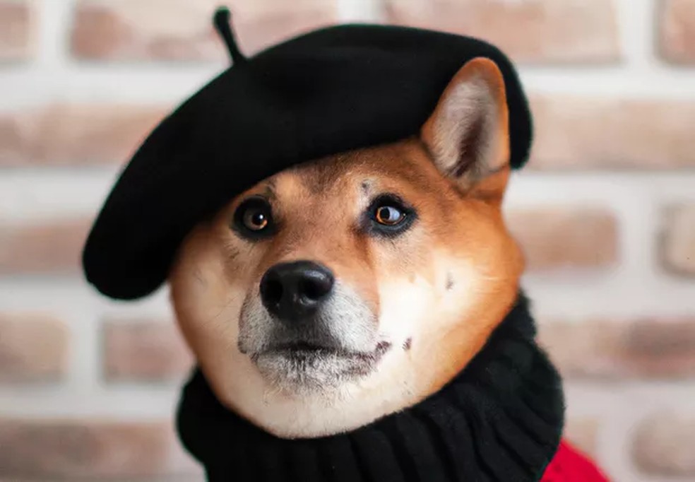 Resultado do DALL-E para comando de imagem de 'cão Shiba Inu vestindo uma boina e gola alta preta' Reprodução — Foto:         