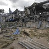 Um cão de rua caminha pelos destroços do posto de fronteira russo destruído no Cruzamento de Sudzha, em Kursk, Rússia, em 24 de agosto de 2024 - David Guttenfelder/The New York Times