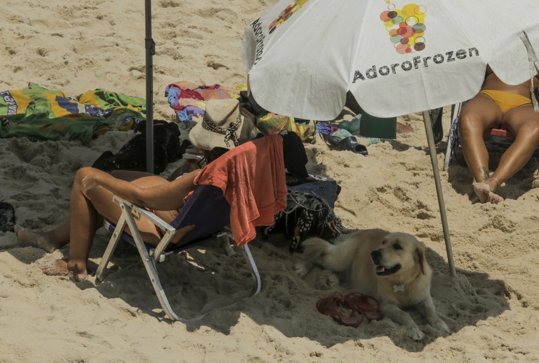 No Arpoador, por volta de meio-dia, um labrador se protege do sol enquanto tutores curtem a praia — Foto: Gabriel de Paiva / Agência O Globo