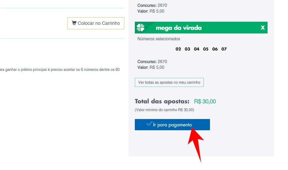 Após realizar apostas no valor mínimo de R$ 30, clique no botão "Ir para pagamento". — Foto: Reprodução