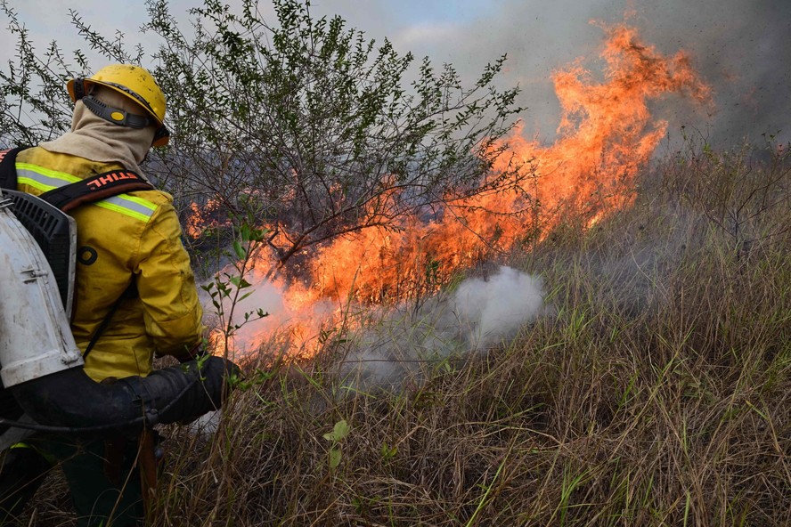 Bombeiro combate chamas de incêndio florestal no Pantanal