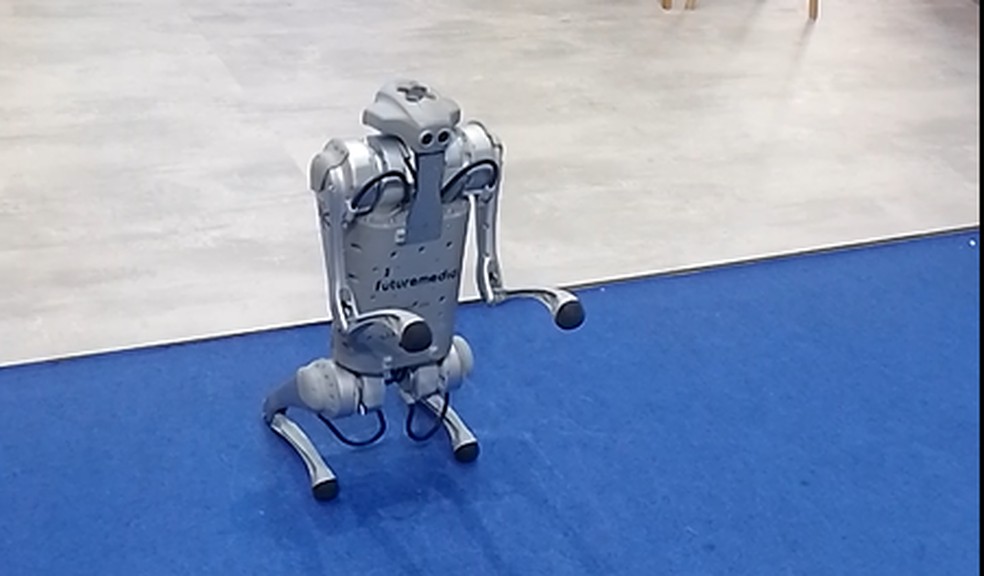 O cachorro-robô que fez sucesso na Febraban Tech — Foto: João Sorima Neto