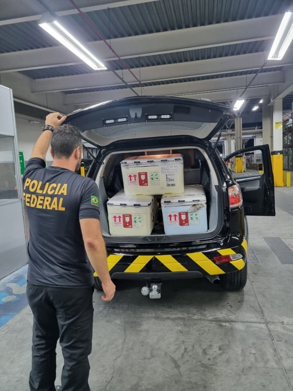 Mulher é presa ao tentar embarcar com 12 espécies de arraias silvestres em aeroporto de Manaus — Foto: Divulgação/PF