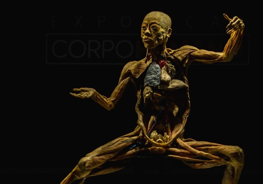 Exposição 'Corpo humano', no Via Parque