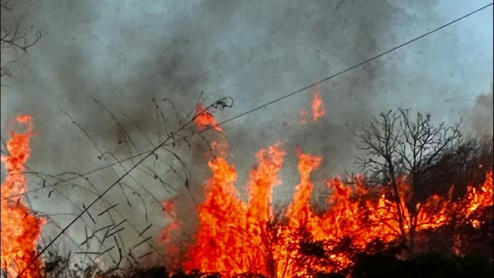 Incêndio atinge fazenda da atriz Lúcia Veríssimo — Foto: Reprodução/Instagram