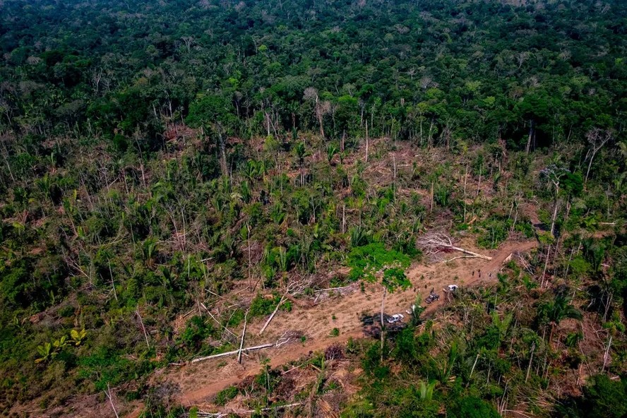 Área de Cerrado desmatada