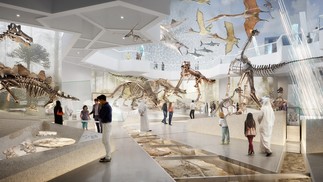 Distrito Cultural da Ilha Saadiyat, a 'ilha dos museus' de Abu Dhabi, nos Emirados Árabes Unidos. Imagem mostra como será uma das salas de exibição do futuro Museu de História Natural de Abu Dhabi. — Foto: Divulgação / Departamento de Turismo de Abu Dhabi