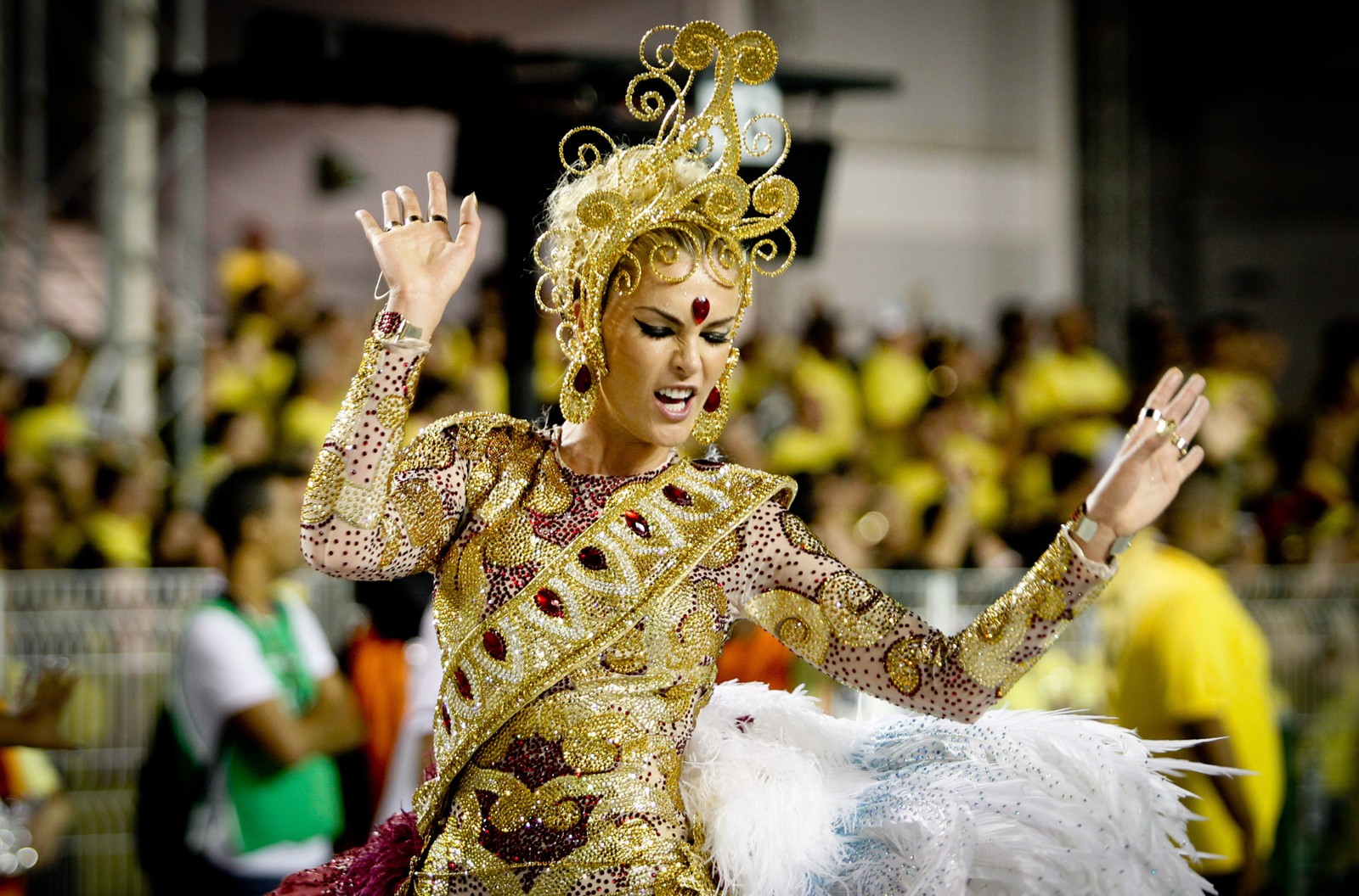 Ana Hickmann em desfile da Vai Vai no Carnaval de São Paulo, em 2013 — Foto: Marcos Alves / Agencia O Globo