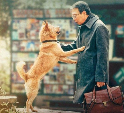 A versão chinesa de "Hachiko" (2023) — Foto: Divulgação