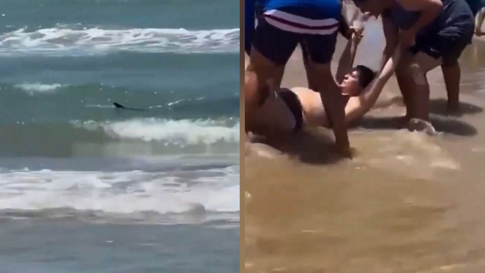 Quatro pessoas são atacadas pelo mesmo tubarão em praia do Texas, EUA; imagens fortes — Foto: Reprodução