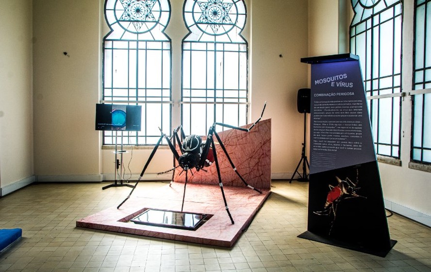 Réplica do mosquito transmissor da dengue é um dos destaques da exposição