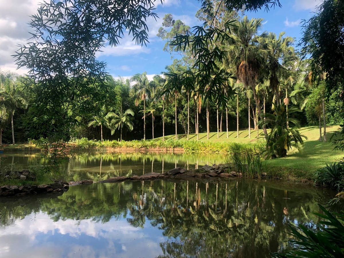 Imagens da Fazenda Vila Rica — Foto: Divulgação