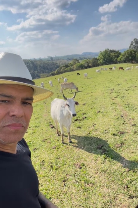 Depois da criação de cavalos, ator passou a se interessar também pela criação de gado