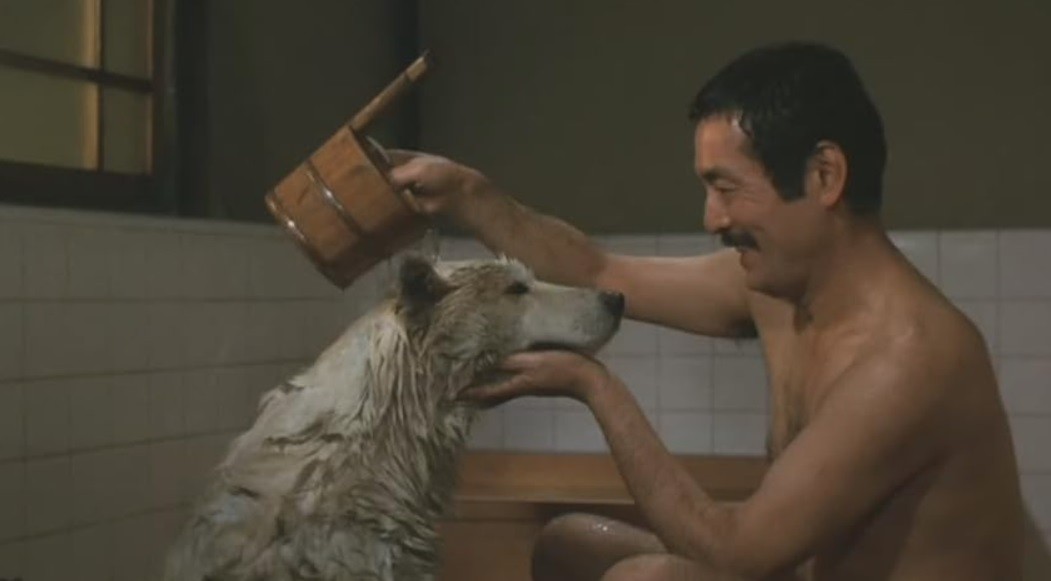 O filme original japonês, "A história de Hachi-ko" (1987) — Foto: Divulgaçãp