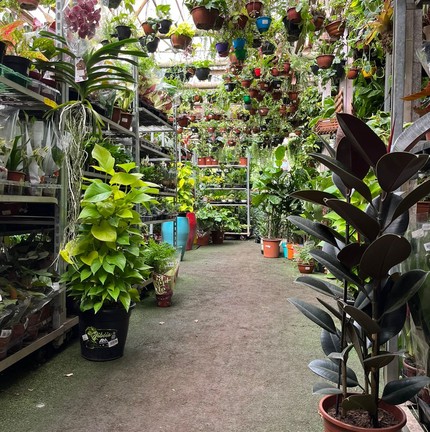 O Garden Center Zona Sul tem 1.200 metros quadrados divididos em dois pavimentos — Foto: Divulgação